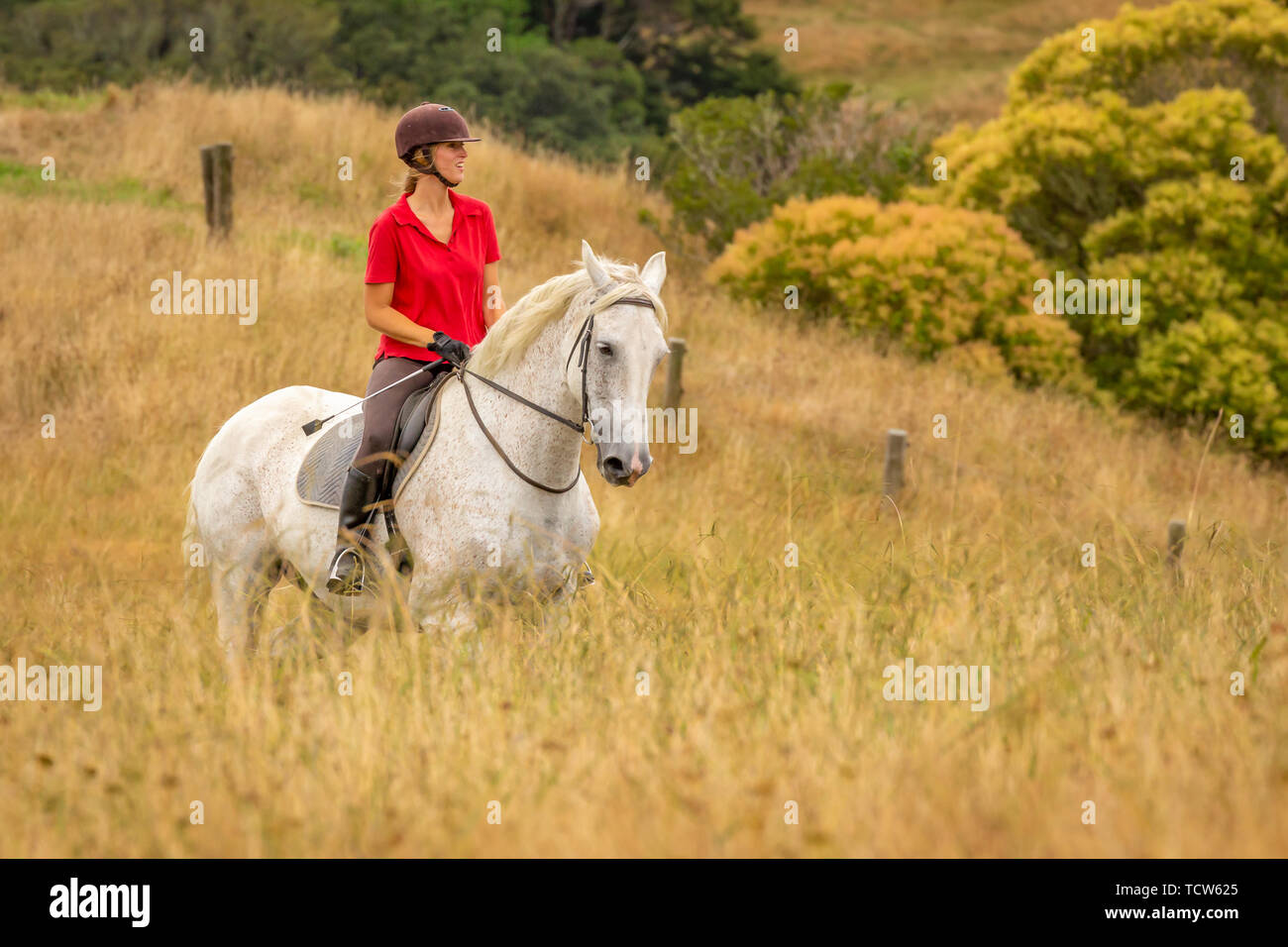 Eine attraktive Glücklich lächelnde junge Frau in einem roten polo shirt reiten ihr weißes Pferd durch lange getrocknet goldene Farbe Gräser gekleidet, die Copyspace Stockfoto