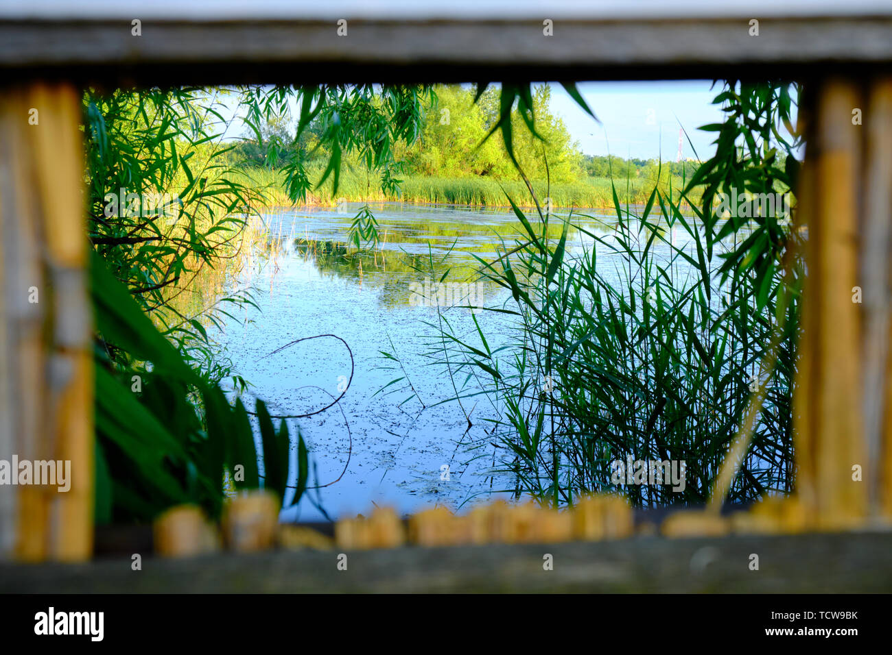 Vogelbeobachtung Frame in Vacaresti Naturpark (Parcul natürliche Vacaresti), Bukarest, Rumänien, am Abend, mit Blick auf die natürliche See ecosy Stockfoto