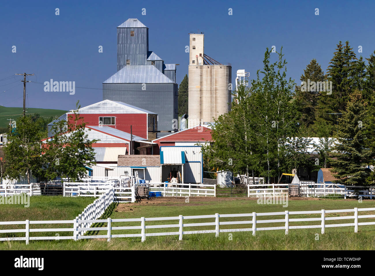 Getreidesilos in Garfield, Palouse, Washington, USA. Stockfoto