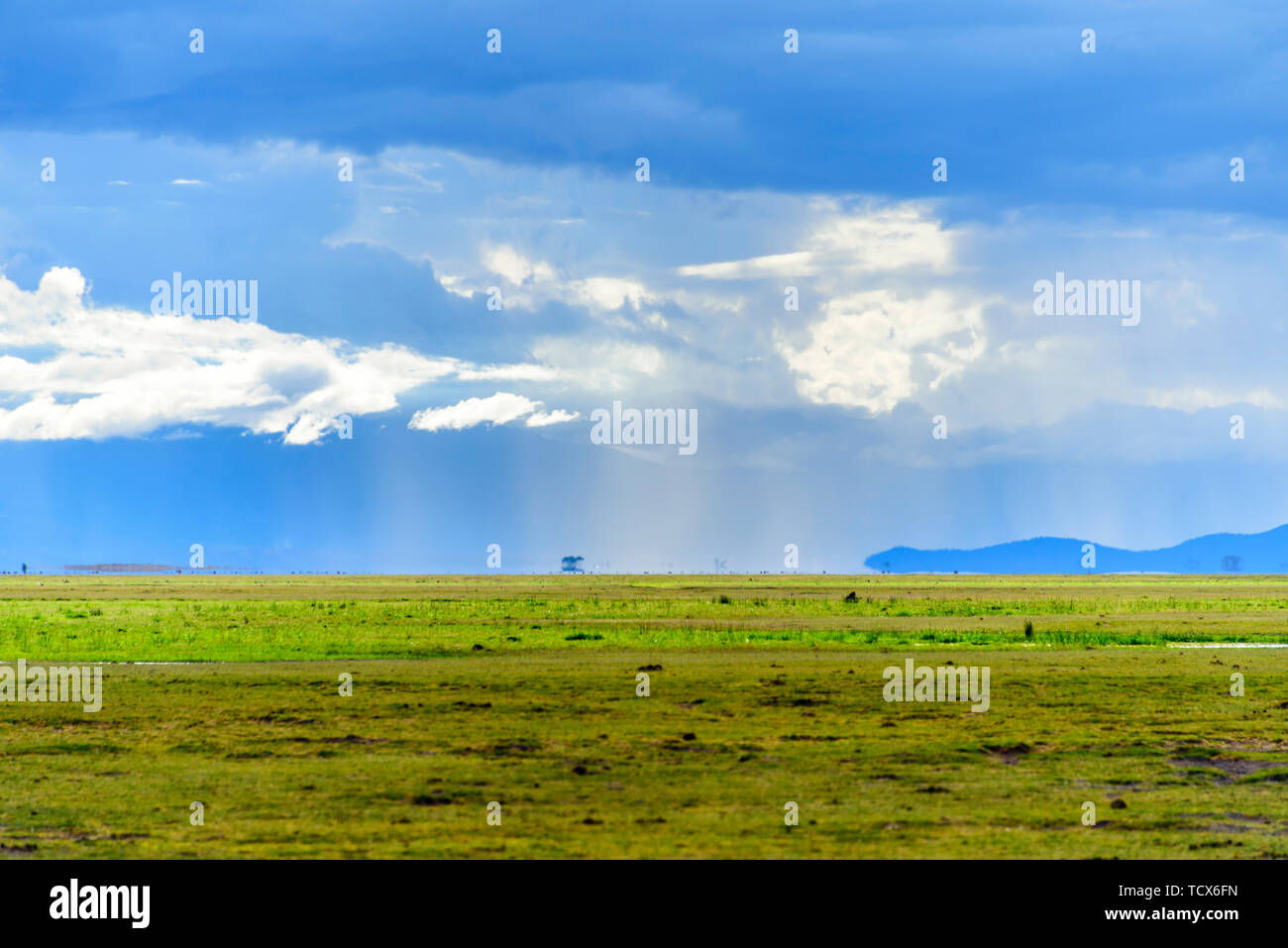 Kenia prairie Stockfoto