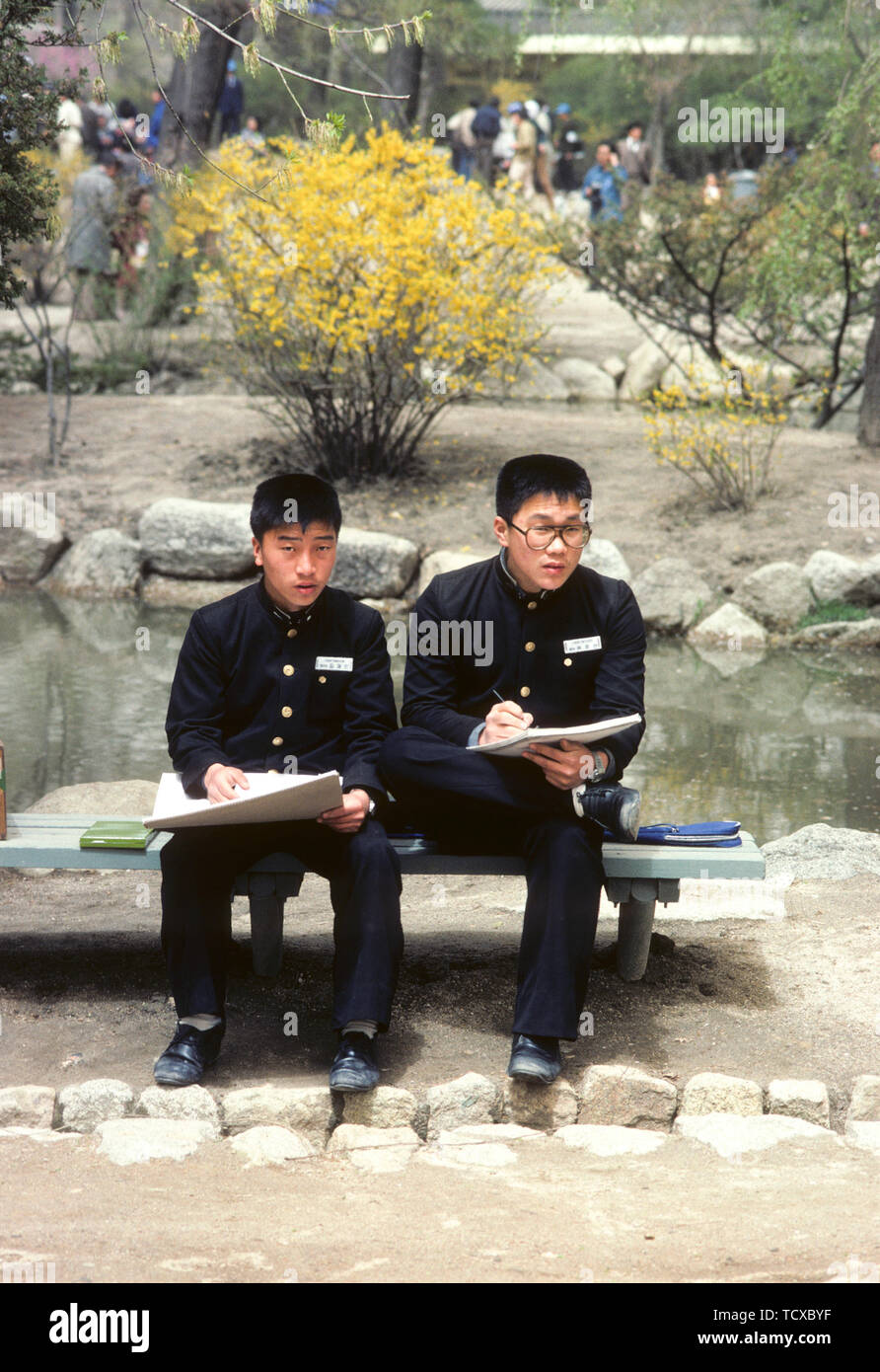 SEOUL KOREA twoi Jungen auf einer Bank im Garten des Königlichen Palastes Gyeongbokgong macht eine zeichnen Stockfoto