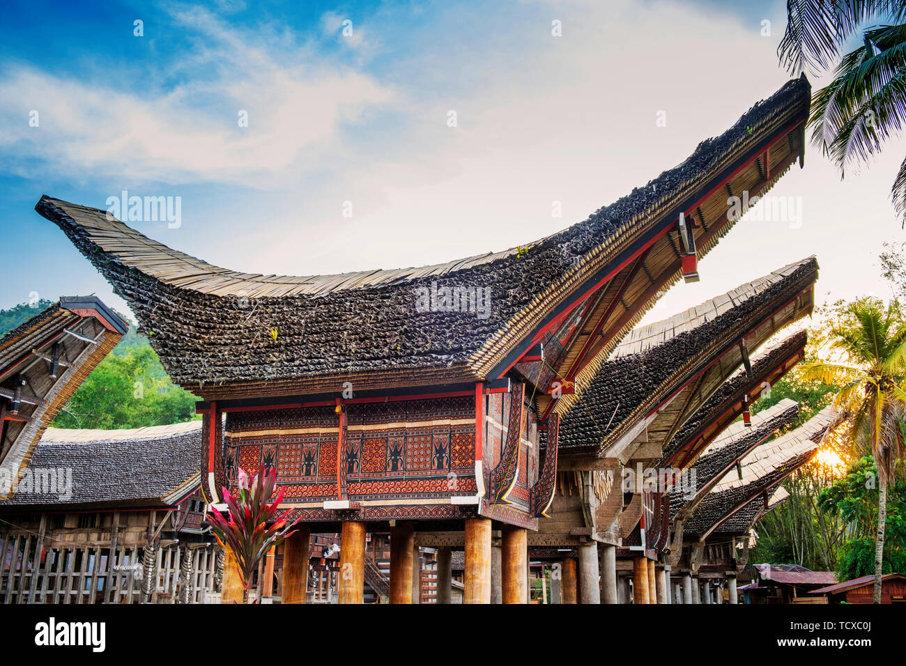 Ein reisanbau Dorf mit traditionellen Torajan Tongkonan lange Häuser, Tana Toraja, Sulawesi, Indonesien, Südostasien, Asien Stockfoto