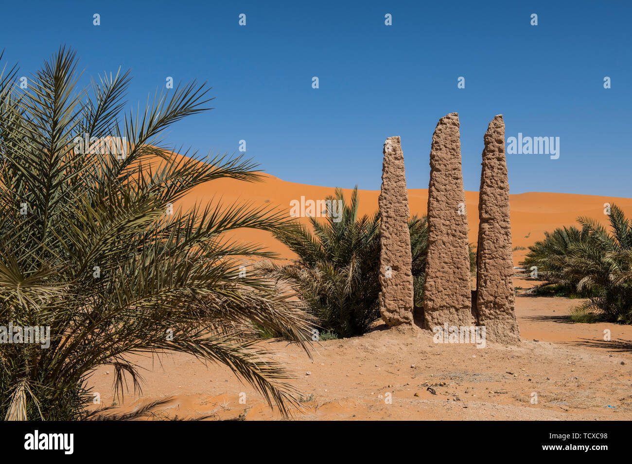 Alte Oase unterzeichnen, Beni Abbes, Sahara, Algerien, Nordafrika, Afrika Stockfoto