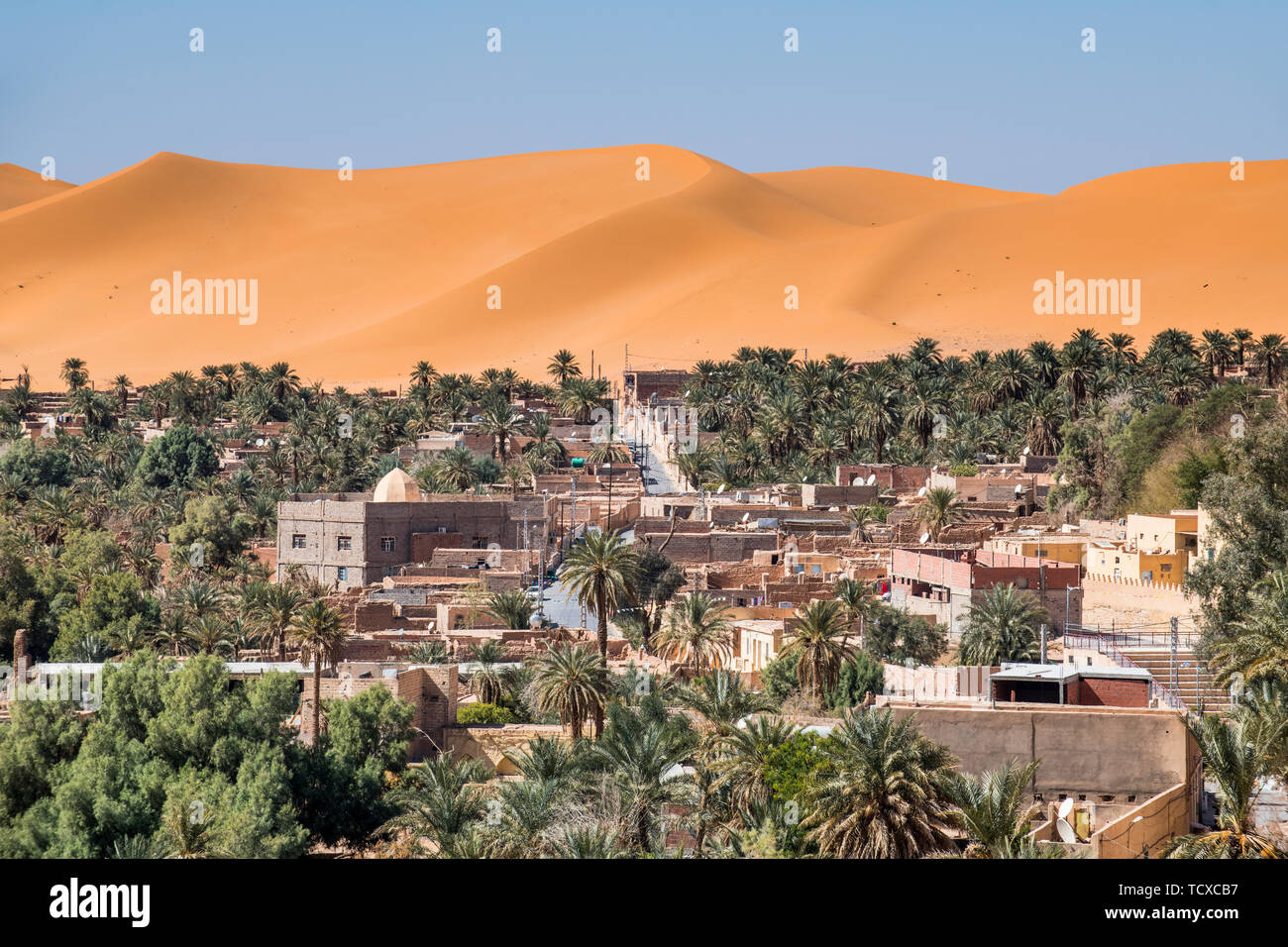 Blick auf den Palm Oasis von Beni Abbes, Sahara, Algerien, Nordafrika, Afrika Stockfoto