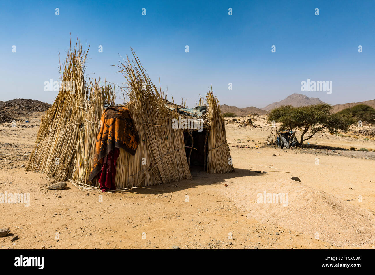 Die traditionellen Tuareg Gehäuse in der Nähe von Tamanrasset, Algerien, Nordafrika, Afrika Stockfoto