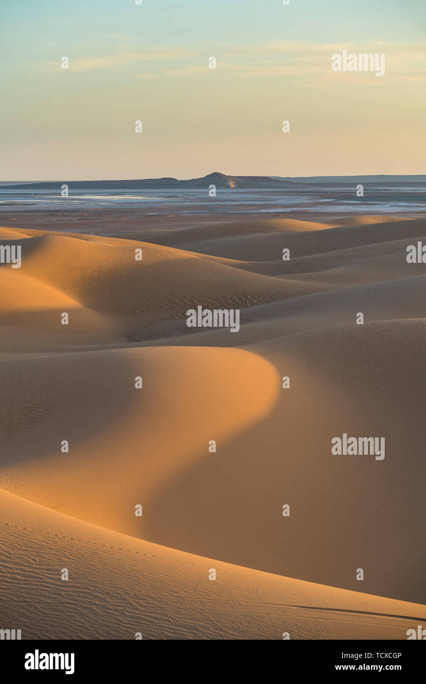 Sonnenuntergang in den riesigen Sanddünen der Wüste Sahara Timimoun, westlichen Algerien, Nordafrika, Afrika Stockfoto