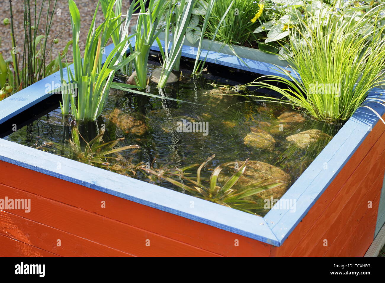 Angehobene Gartenteich. Kleiner Garten Teich aus recycelten Paletten aus Holz gemacht Stockfoto