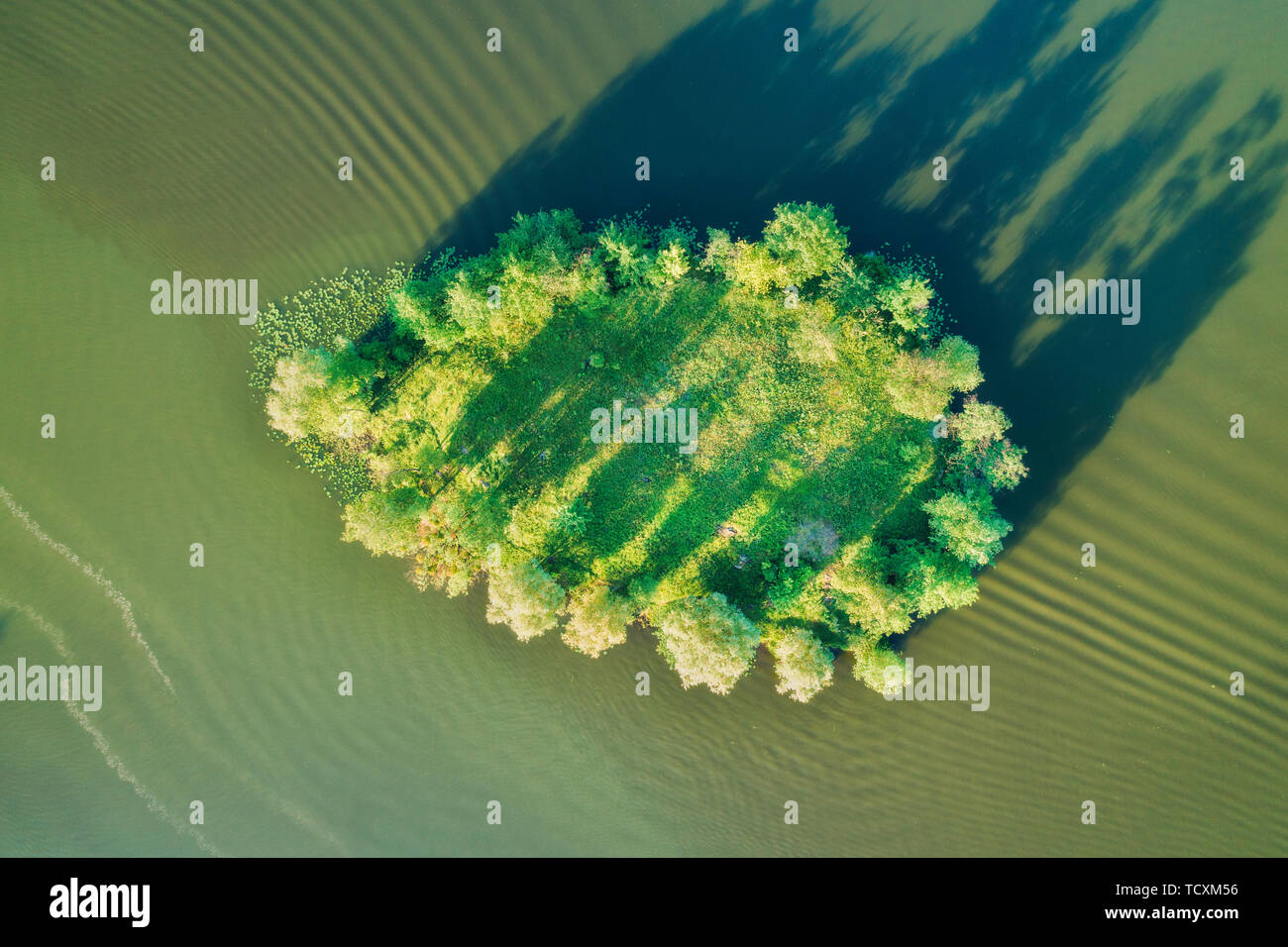 Luftaufnahme der schöne kleine Insel mit grünen Bäumen und Gras Stockfoto