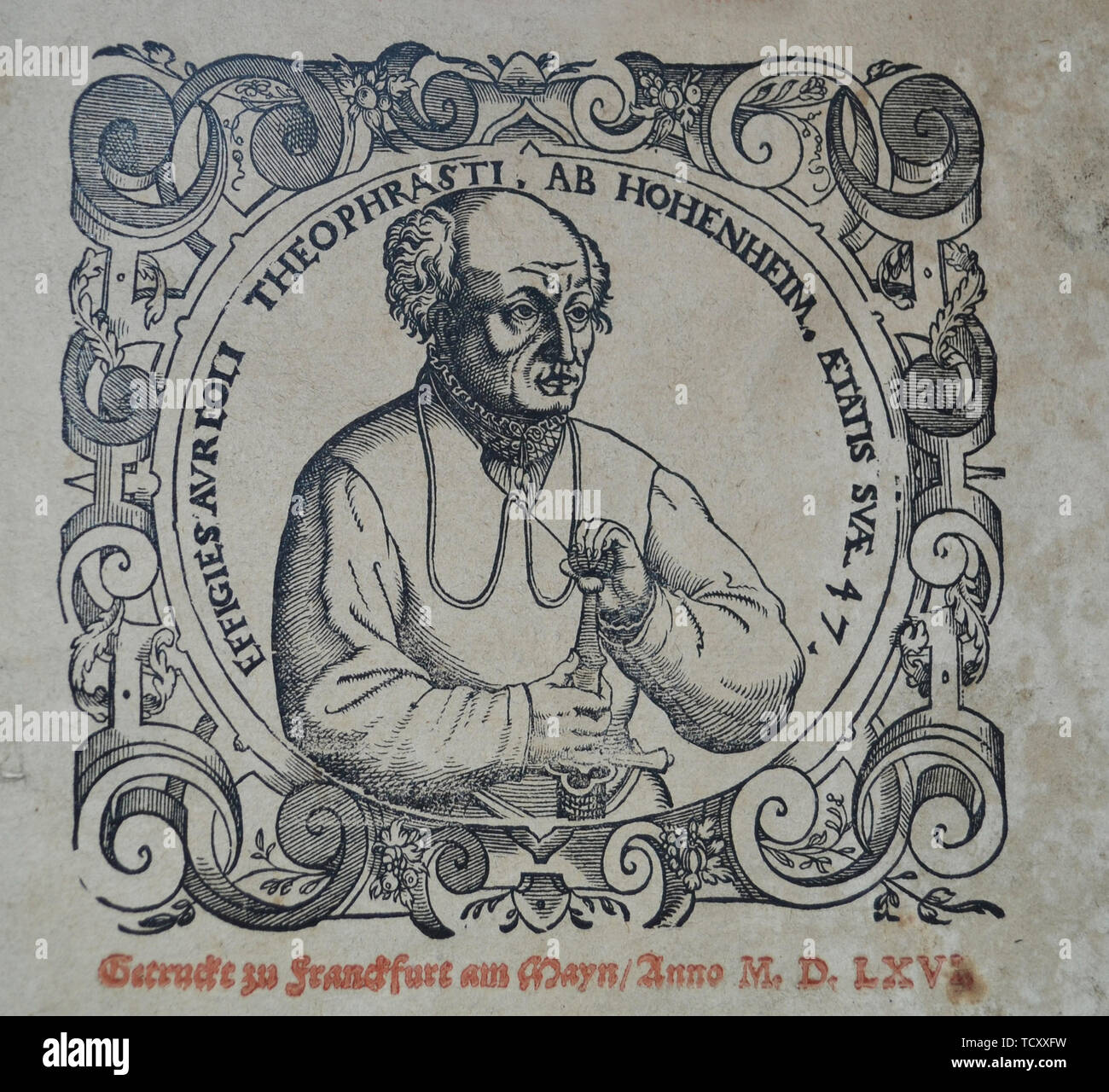 Philippus Aureolus Theophrastus Bombastus von Hohenheim (Paracelsus), 1566. Schöpfer: Anonym. Stockfoto