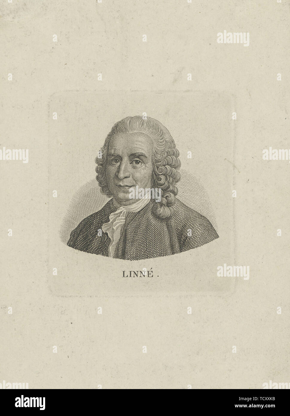 Porträt von Carl von Linné (1707-1778), C. 1780. Schöpfer: Anonym. Stockfoto