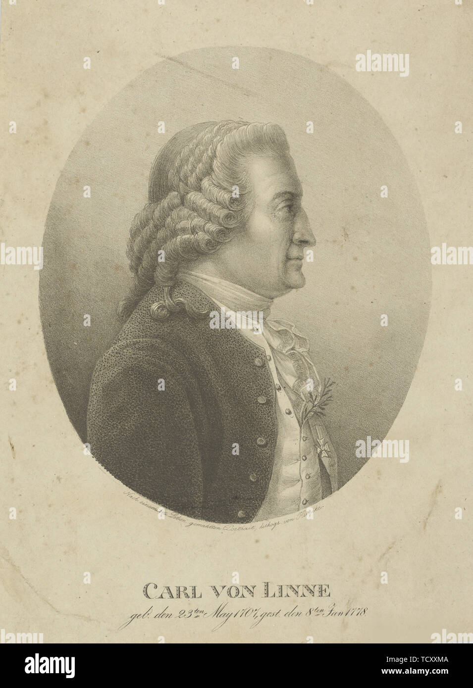 Porträt von Carl von Linné (1707-1778), C. 1800. Schöpfer: Kunike, Adolph Friedrich (1777-1838). Stockfoto