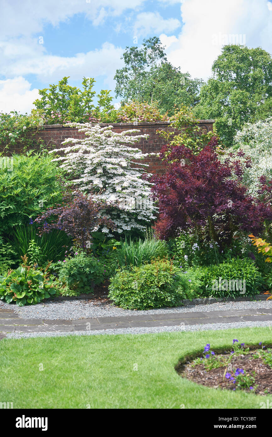 Holehird Gardens ist eine umfangreiche, 10 Hektar großen Gelände in der Nähe von Windermere, Cumbria, England. Es ist die Heimat der Lakeland Gartenbaugesellschaft Stockfoto