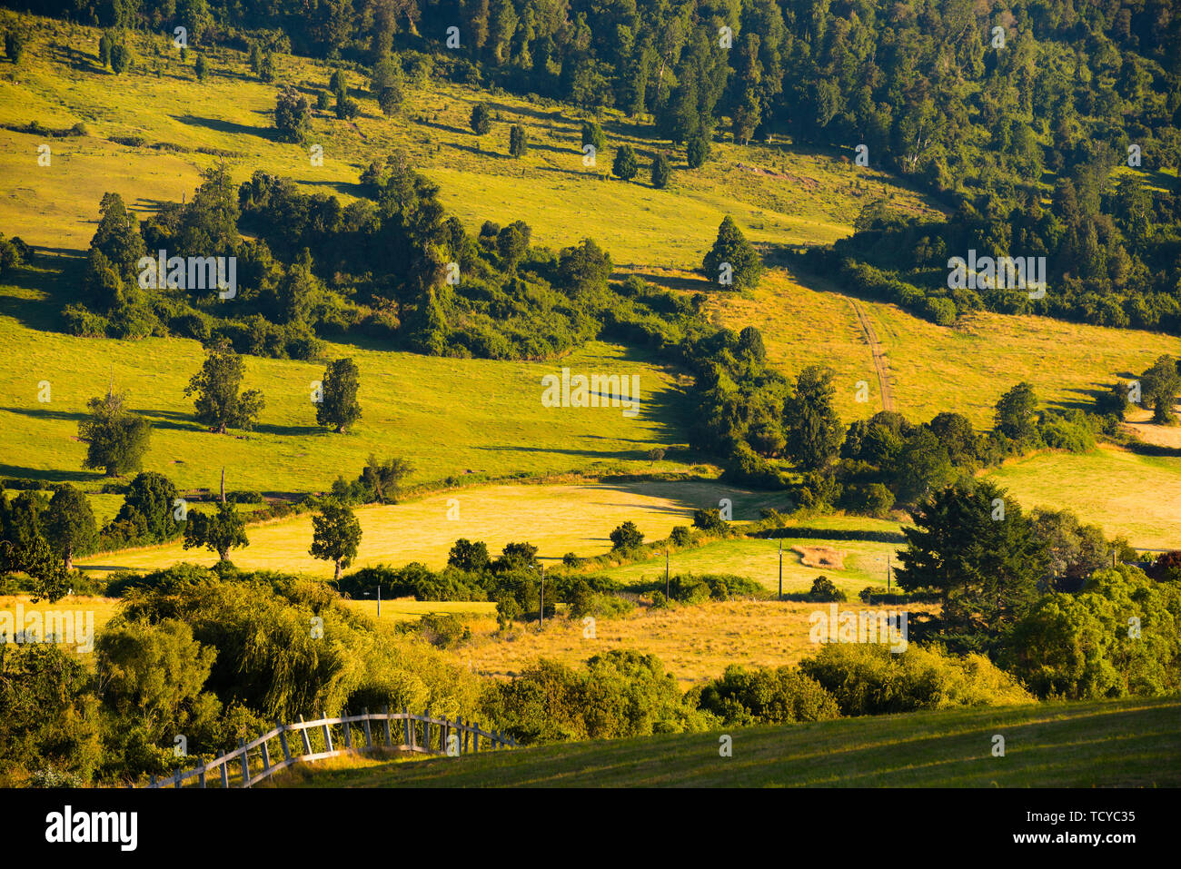 Bauernhöfe am Ufer des See Llanquihue, X Region de Los Lagos, Chile Stockfoto