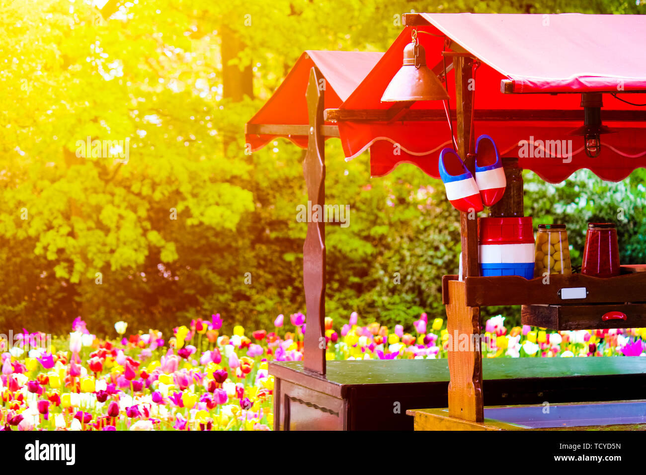 Mit traditionellen niederländischen Symbole in den nationalen Farben gegen Sonnenuntergang Licht mit unscharfen Tulpen im Hintergrund fotografiert. Traditionelle Holland Holzschuhe. Niederlande, abstraktes Konzept. Stockfoto