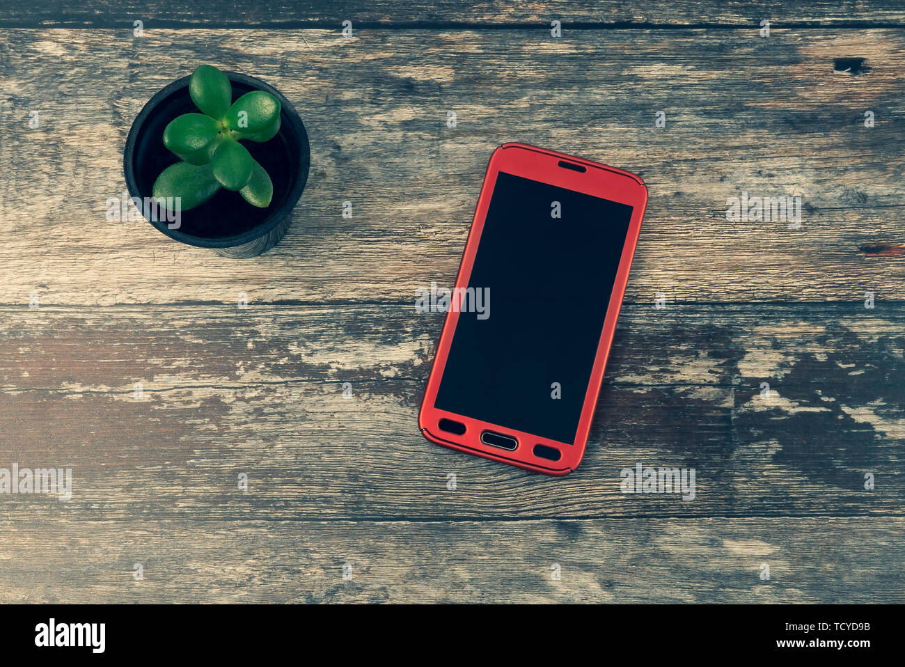 Blick von oben auf die roten Android Handy mit Copyspace und Grün sukkulente Pflanze auf Holz-Konzept von Nomad mobiler Arbeitsplatz, moderne Smartphone Technologie Stockfoto