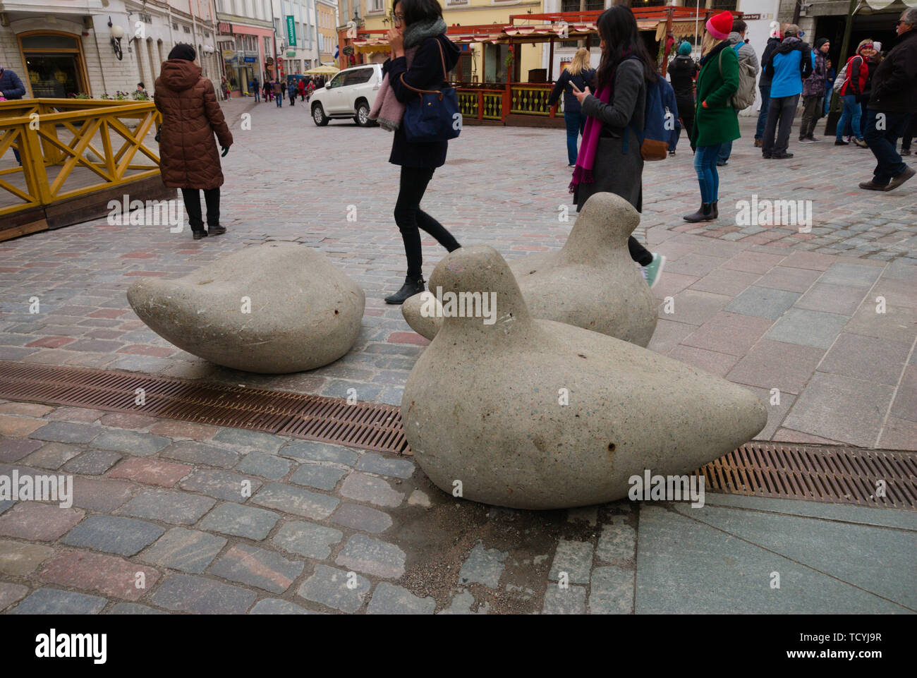 Straßenskulptur von Tauben in der Altstadt von Tallinn, Estland Stockfoto