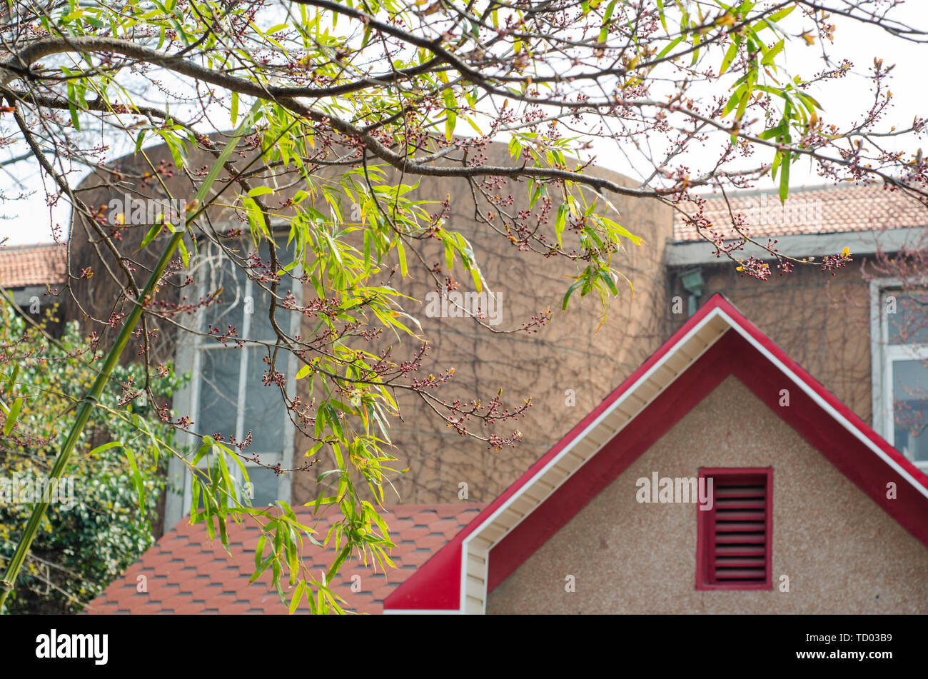 Eine schöne Villa mit gestaffelten Bambus Filialen. Stockfoto