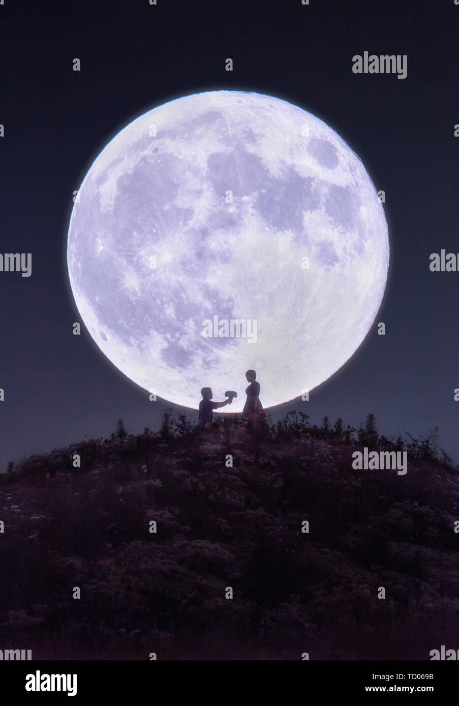 Blumen und Monate. Stockfoto