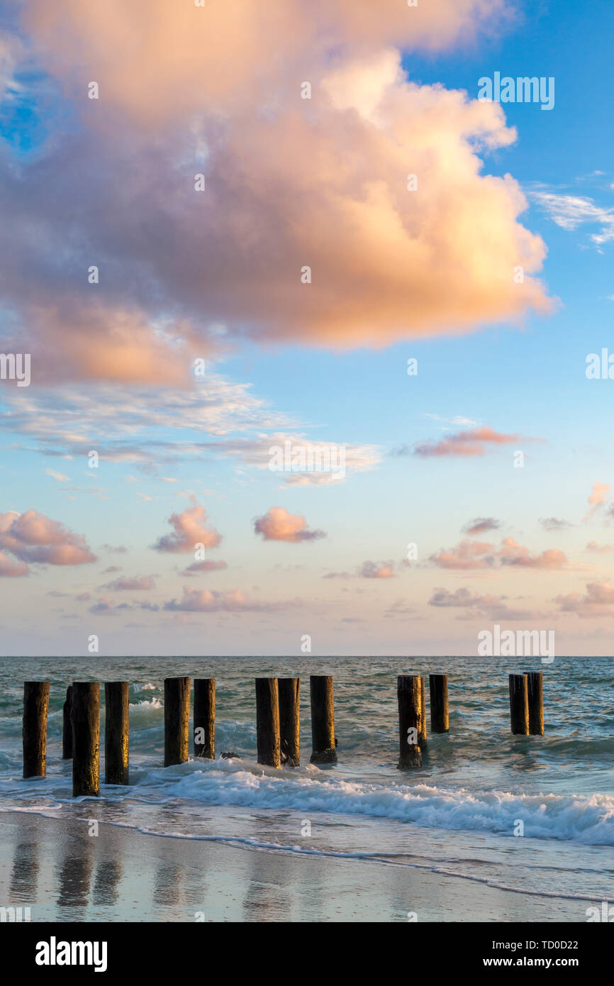 Alte pier Pilings bei Sonnenuntergang über dem Golf von Mexiko, Naples, Florida, USA Stockfoto
