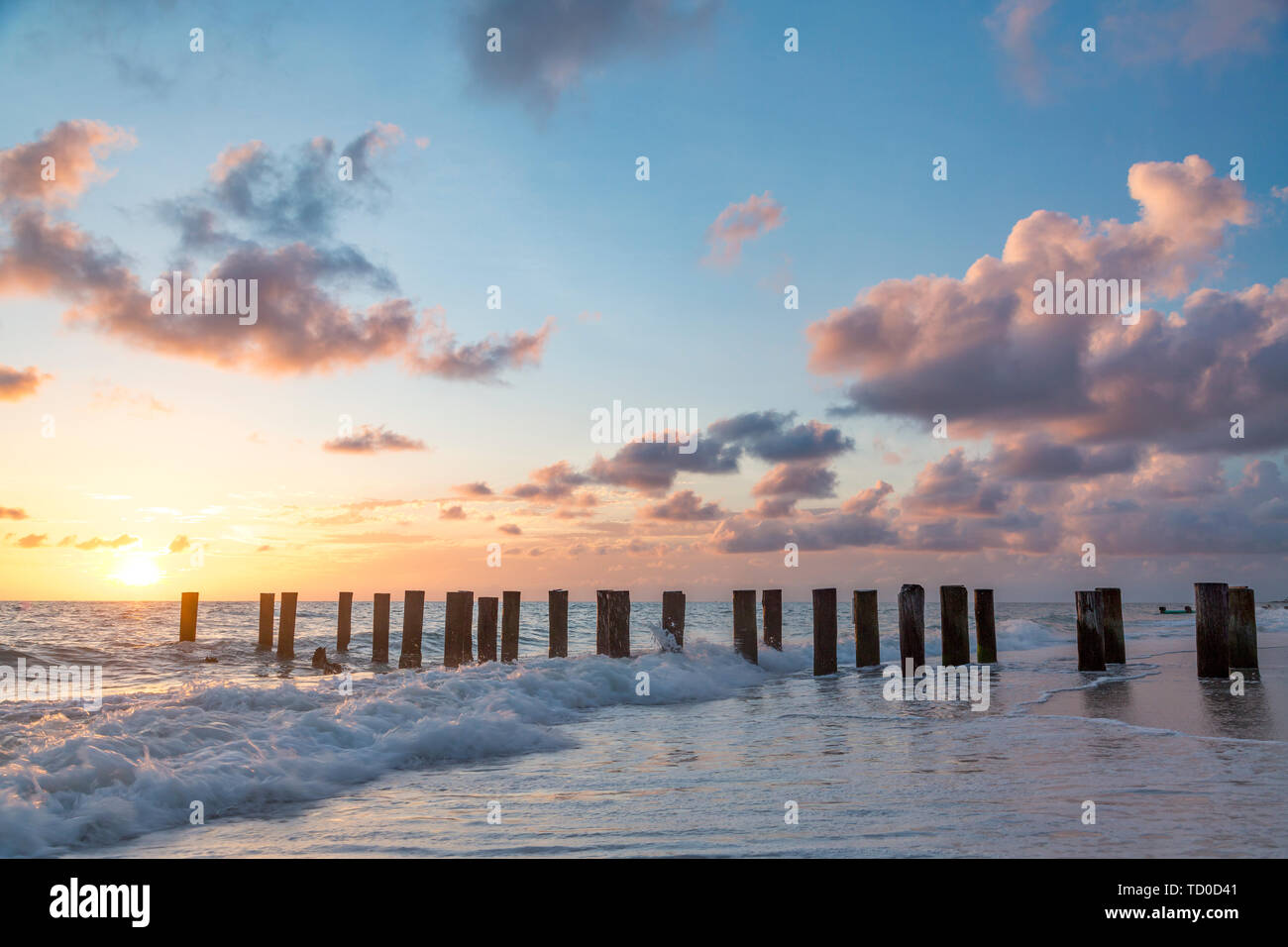 Alte pier Pilings bei Sonnenuntergang über dem Golf von Mexiko, Naples, Florida, USA Stockfoto