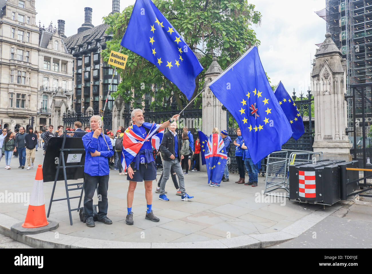 London, Großbritannien. 11 Juni, 2019. Die Demonstranten zu Gunsten der übrigen in der Europäischen Union zeigen mit Brexit Partei Plakate außerhalb der Häuser des Parlaments als Partei der Arbeit bereitet eine interfraktionelle Motion eingereicht, um zu versuchen, einen künftigen Ministerpräsidenten durch eine nicht-deal Brexit gegen den Willen des MPs mit starken Quoten auf Pro Brexit frontrunner Boris Johnson gelingen Theresa May, die bevorzugt eine Kein Deal Credit: Amer ghazzal/Alamy Leben Nachrichten zu stoppen Stockfoto