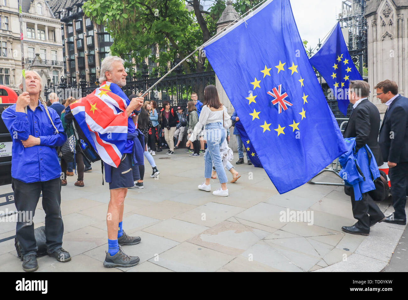 London, Großbritannien. 11 Juni, 2019. Die Demonstranten zu Gunsten der übrigen in der Europäischen Union zeigen mit Brexit Partei Plakate außerhalb der Häuser des Parlaments als Partei der Arbeit bereitet eine interfraktionelle Motion eingereicht, um zu versuchen, einen künftigen Ministerpräsidenten durch eine nicht-deal Brexit gegen den Willen des MPs mit starken Quoten auf Pro Brexit frontrunner Boris Johnson gelingen Theresa May, die bevorzugt eine Kein Deal Credit: Amer ghazzal/Alamy Leben Nachrichten zu stoppen Stockfoto