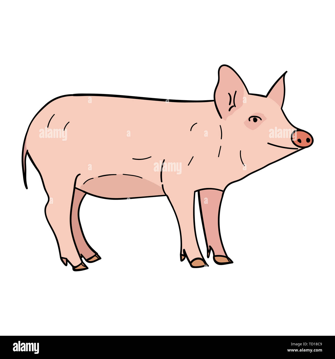 Schwein in doodle Stil. Abbildung auf weißen Hintergrund. Stockfoto