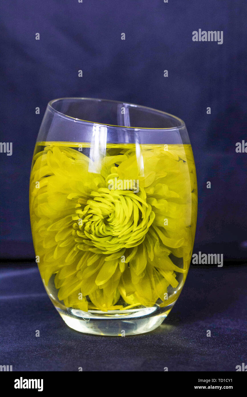 Klicken Sie Feuer golden silk Royal chrysanthemum Tee Suppe tee Material Stockfoto
