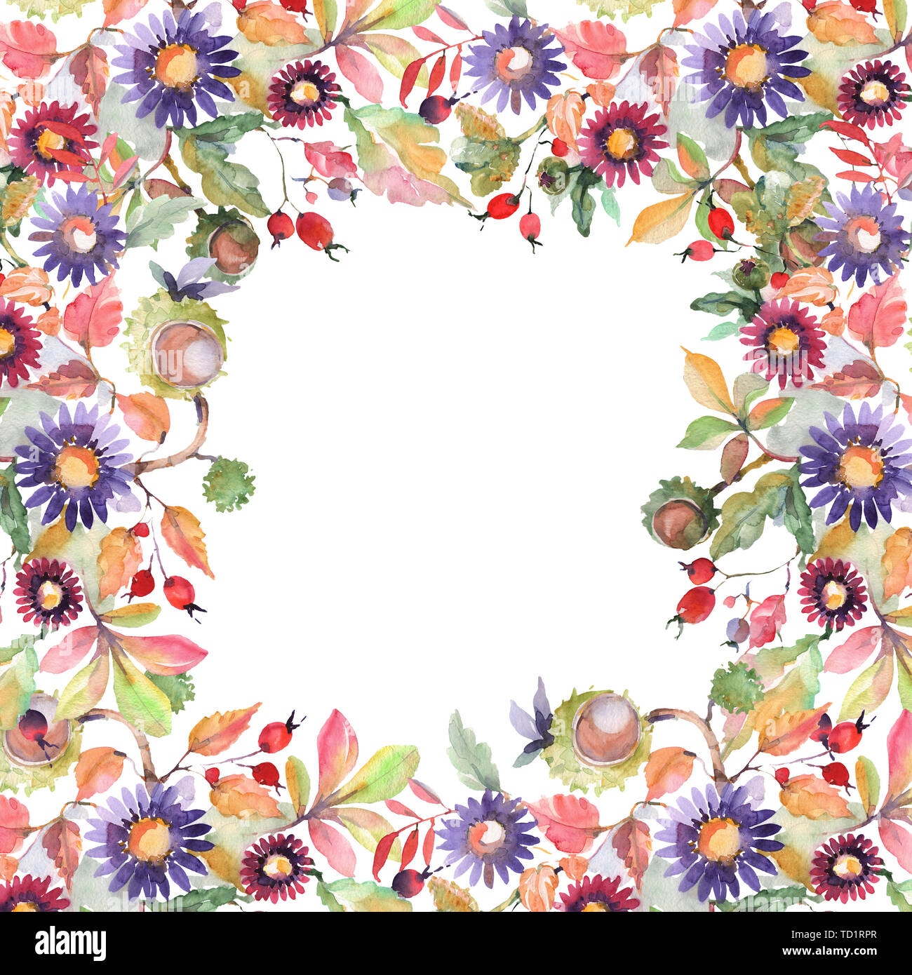 Aster und wildflower Bouquet blumig botanischen Blumen. Wild Federblatt wildflower. Aquarell Hintergrund Abbildung. Aquarell Zeichnung Art Stockfoto