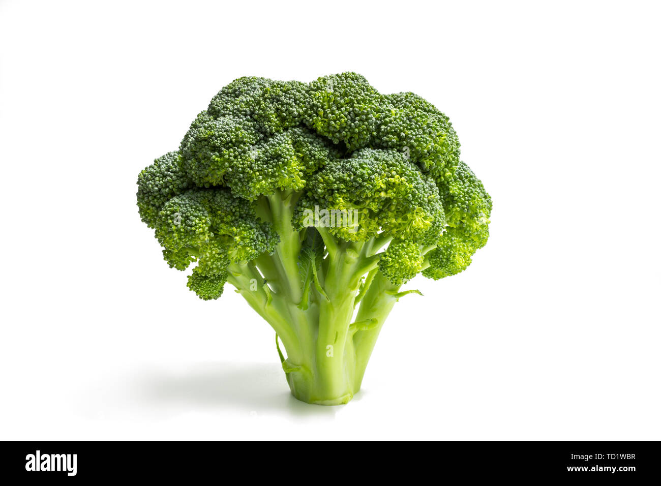 Brokkoli auf weißem Hintergrund Stockfoto