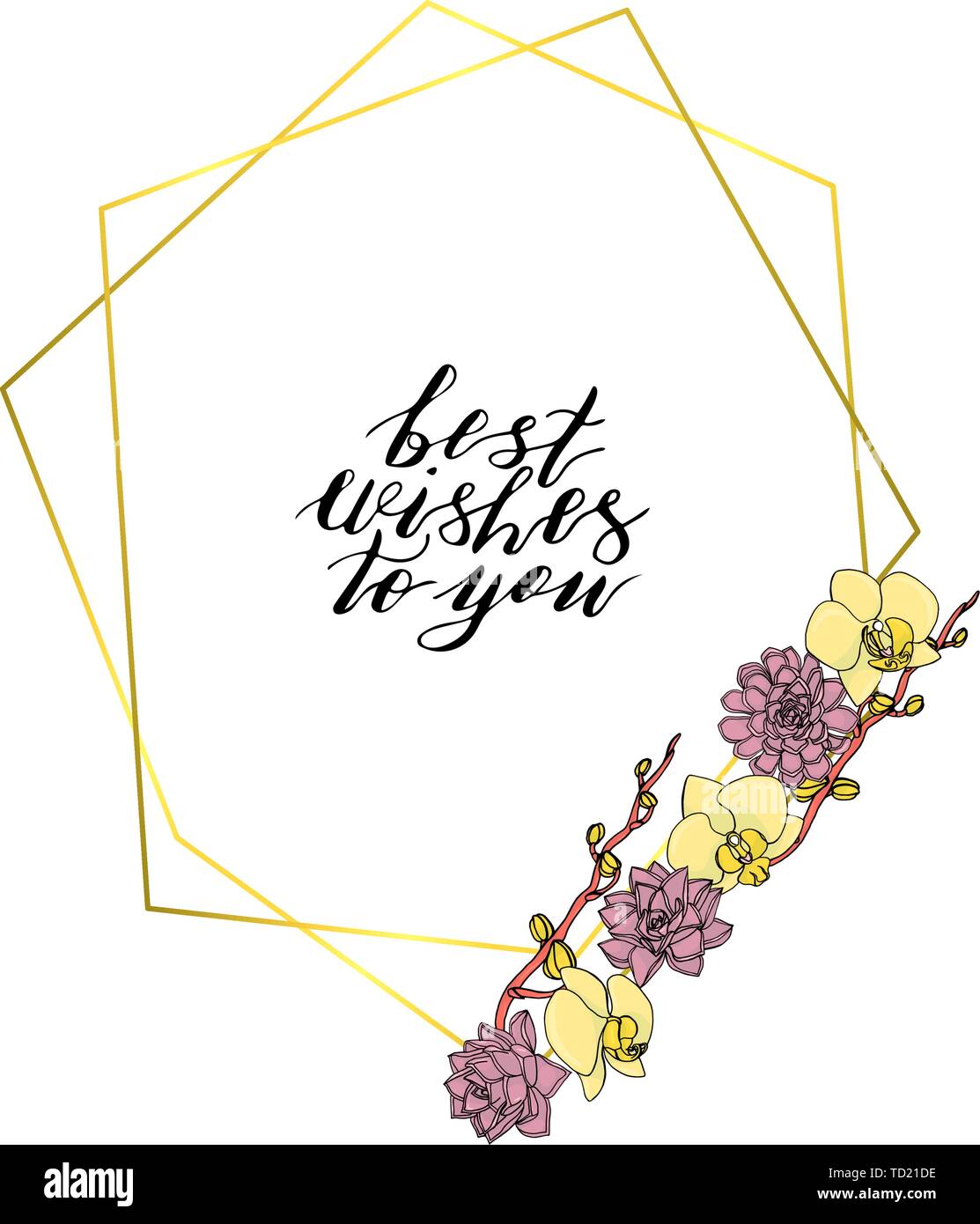 Hand doodle style Kranz aus Orchidee Blumen und Sukkulenten gezeichnet, mit polygonalen Girlande, Vintage geometrischen Rahmen, florales Design Element. Auf isolierte Stock Vektor