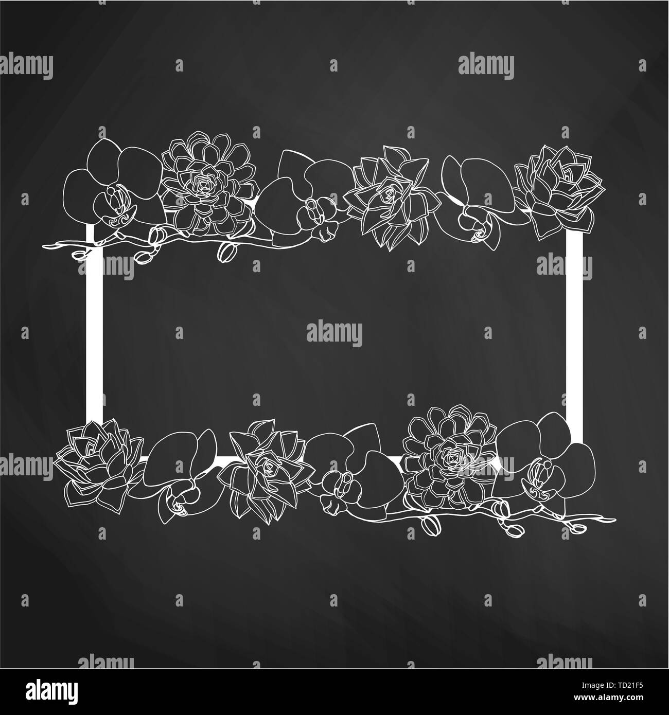 Hand gezeichnet Doodle style saftig und Orchideenblüten Rechteck. Kranz. Floral Design Element. auf blackboard Hintergrund. Vektor illustration Stock Vektor