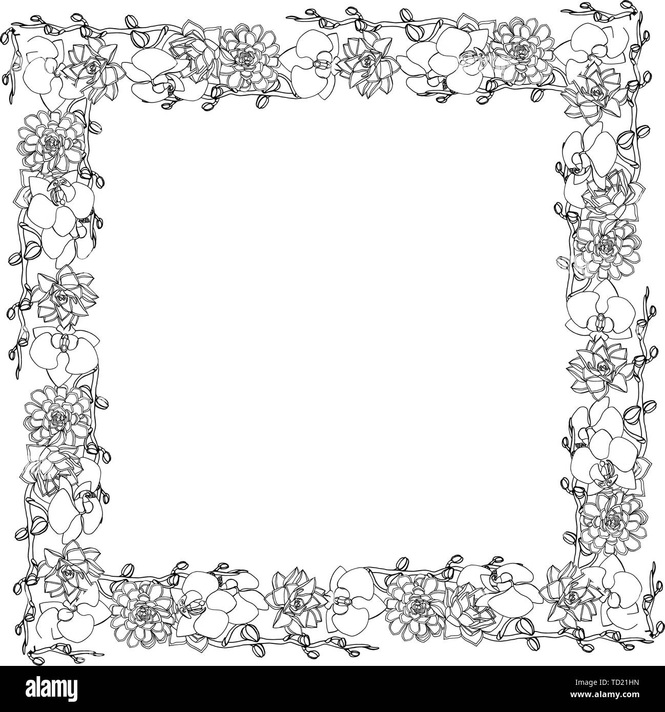 Hand gezeichnet Doodle style saftig und Orchideenblüten Square. Kranz. Floral Design Element. auf weißem Hintergrund. Vektor illustration Stock Vektor