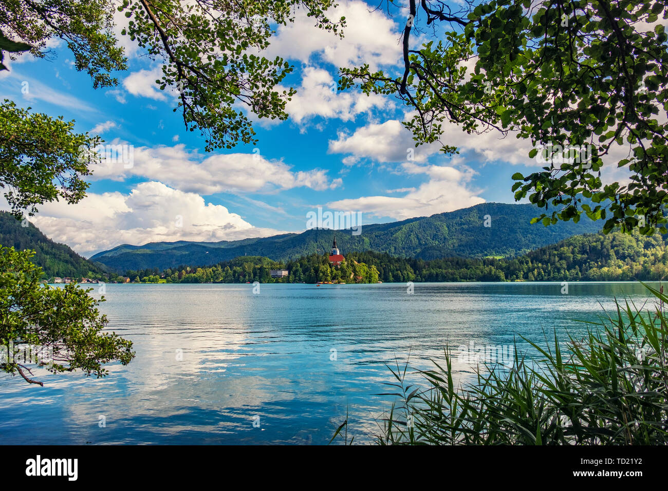 Blaue Wasser des Sees Bled umrahmt von grünen Bäumen Stockfoto