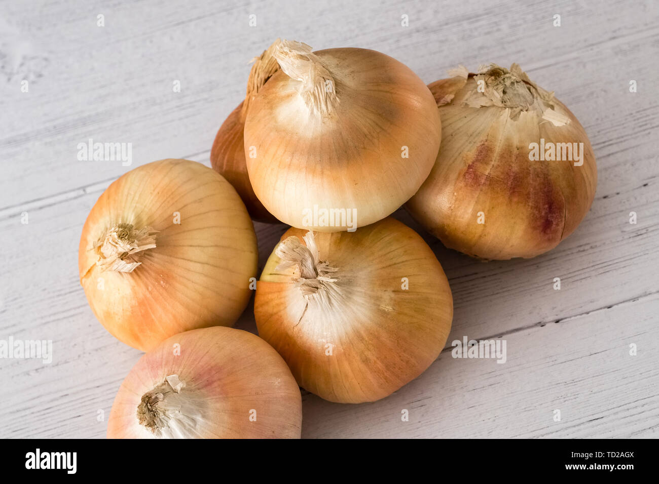 Sechs Goldene Schottischen gewachsen Zwiebeln auf ein weißes Holz beplankt. Ein gutes Image für eine grüne Lebensmittelhändler oder Feinkost Stockfoto