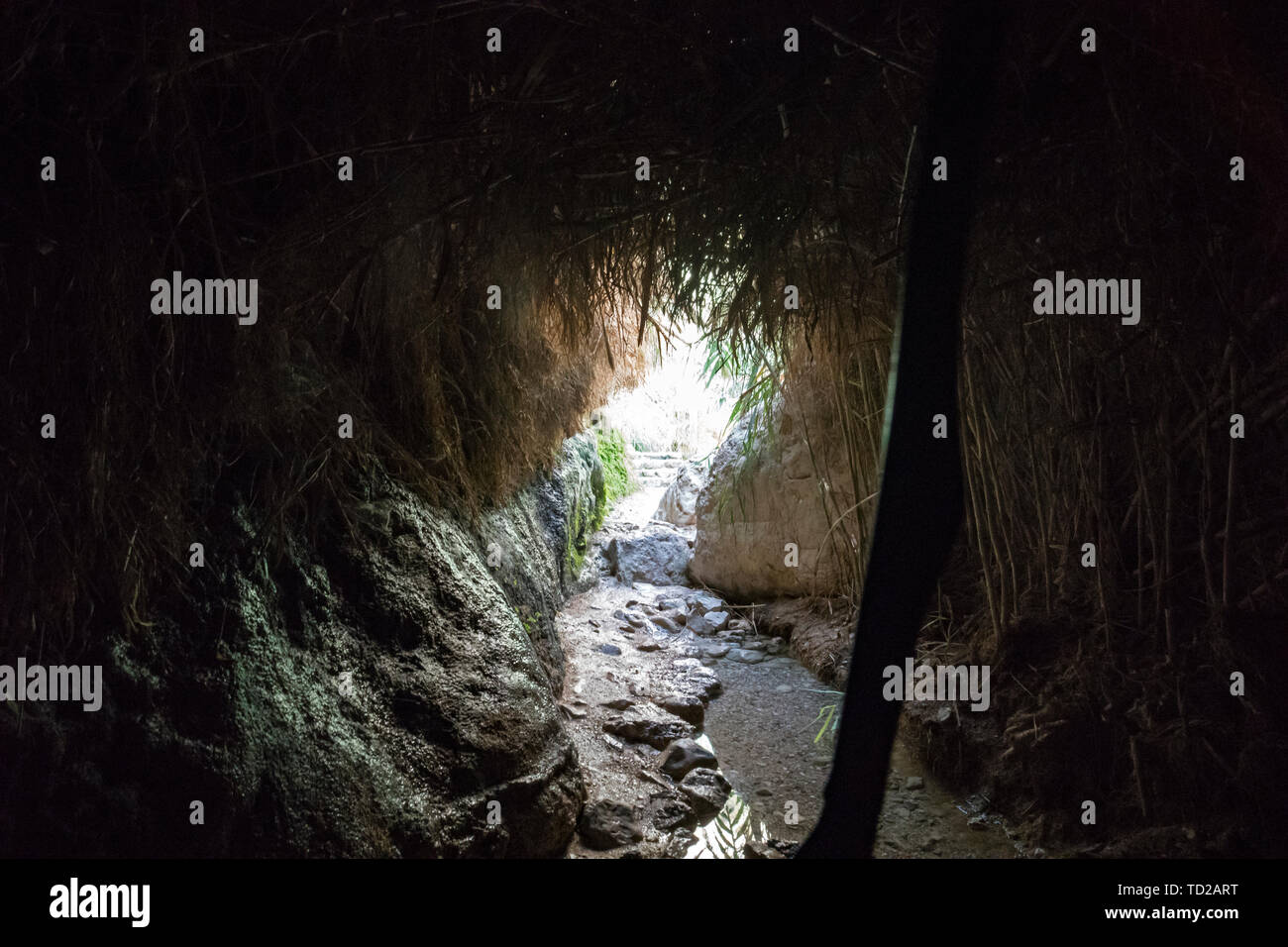 In der düsteren Höhle mit feuchten Mauern und trockenes Gras Decke mit Stick unterstützt, der Boden wurde mit Steinen und Wasser. Leere menschliche Abdeckung in einer Höhle Stockfoto