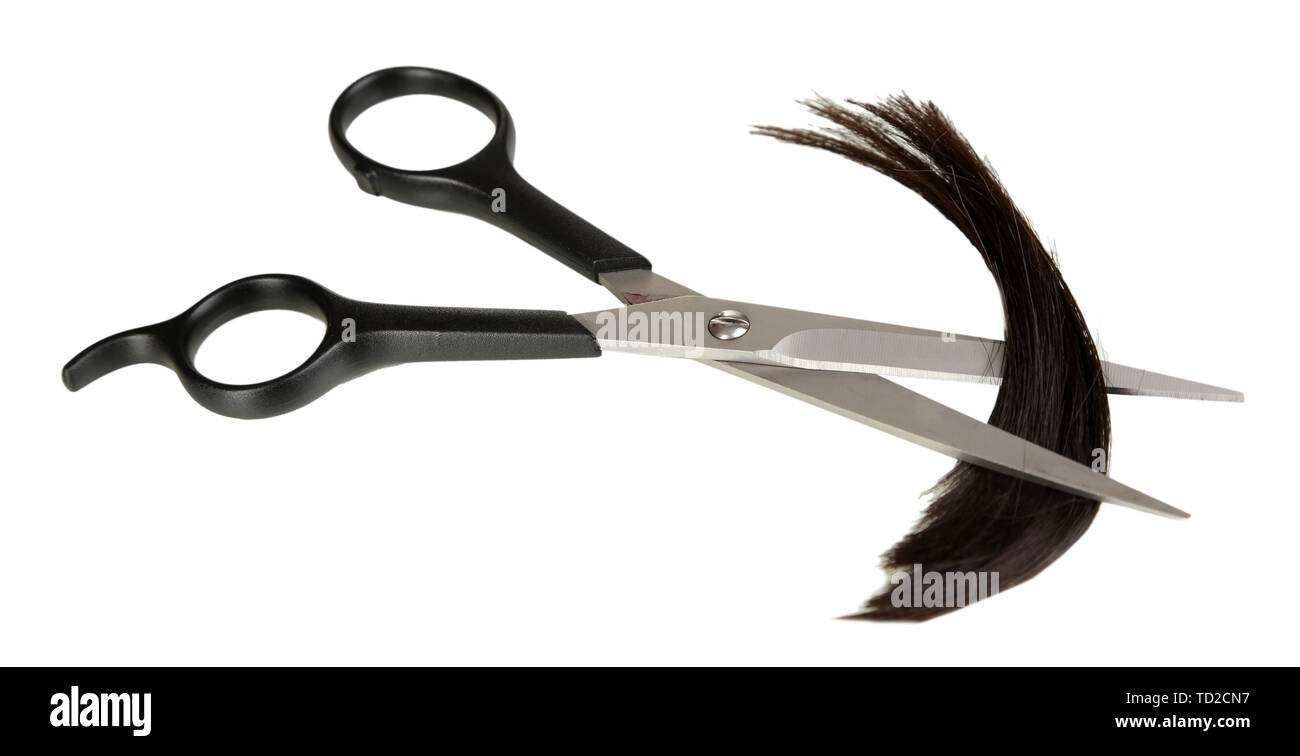 Stücke der Haare mit der Schere isoliert auf weißem Schnitt Stockfoto
