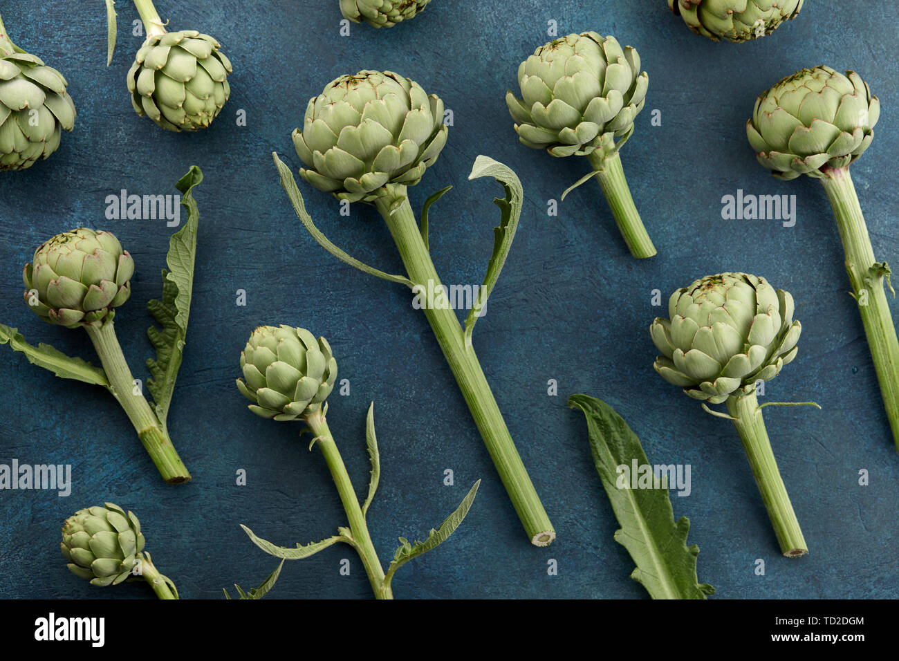 Muster der Artischocken auf Aquamarin Hintergrund Stockfoto