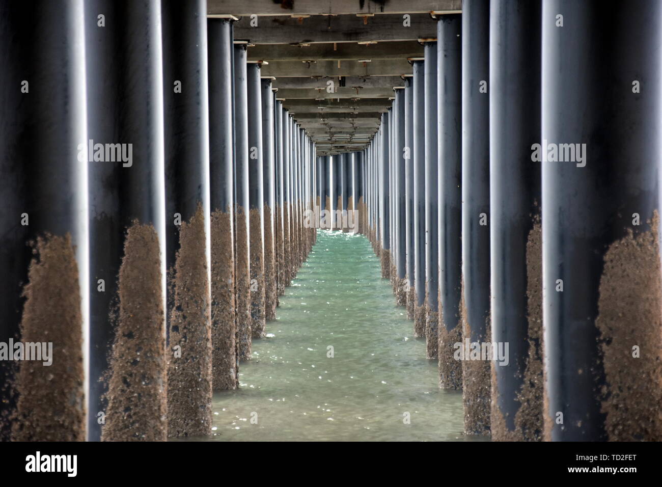 Unter Urangan Pier Perspektive betrachten. Unter einem Pier in Hervey Bay (Queensland, Australien), zeigt die Struktur der Pfähle und Support. Stockfoto