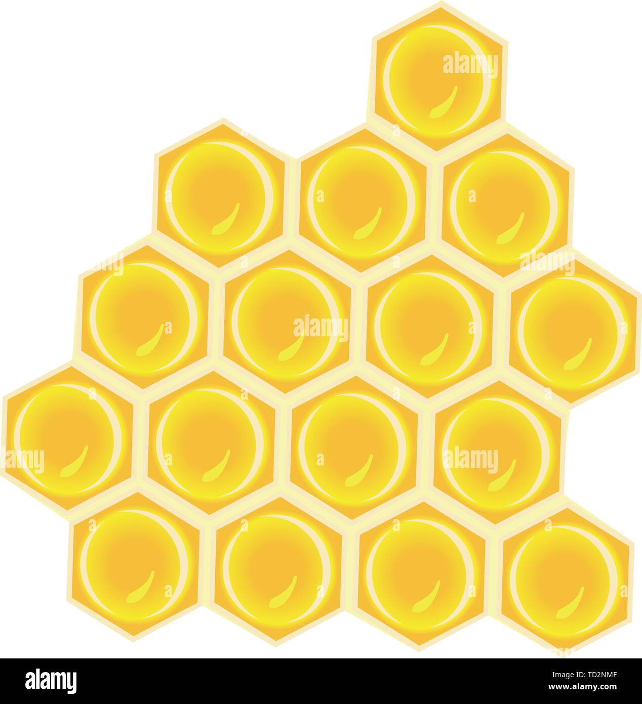 Eine Wabe Vector Illustration auf weißem Hintergrund Stock Vektor