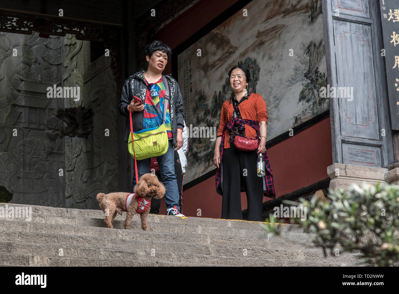 Stadtbild von Dujiangyan Stadt, Provinz Sichuan, China Stockfoto