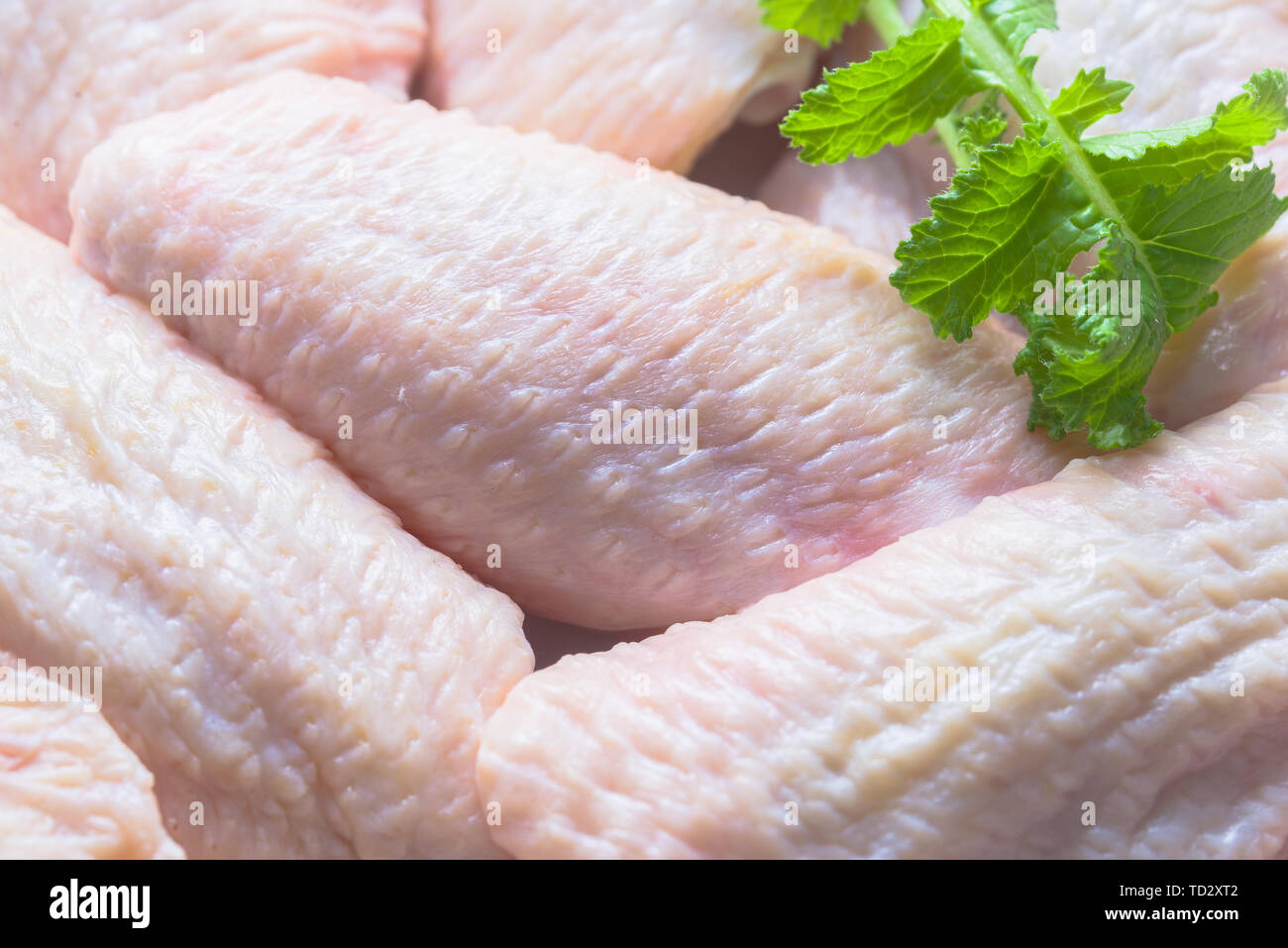 Rohes Huhn medium Flügel, frisches Essen Stockfoto