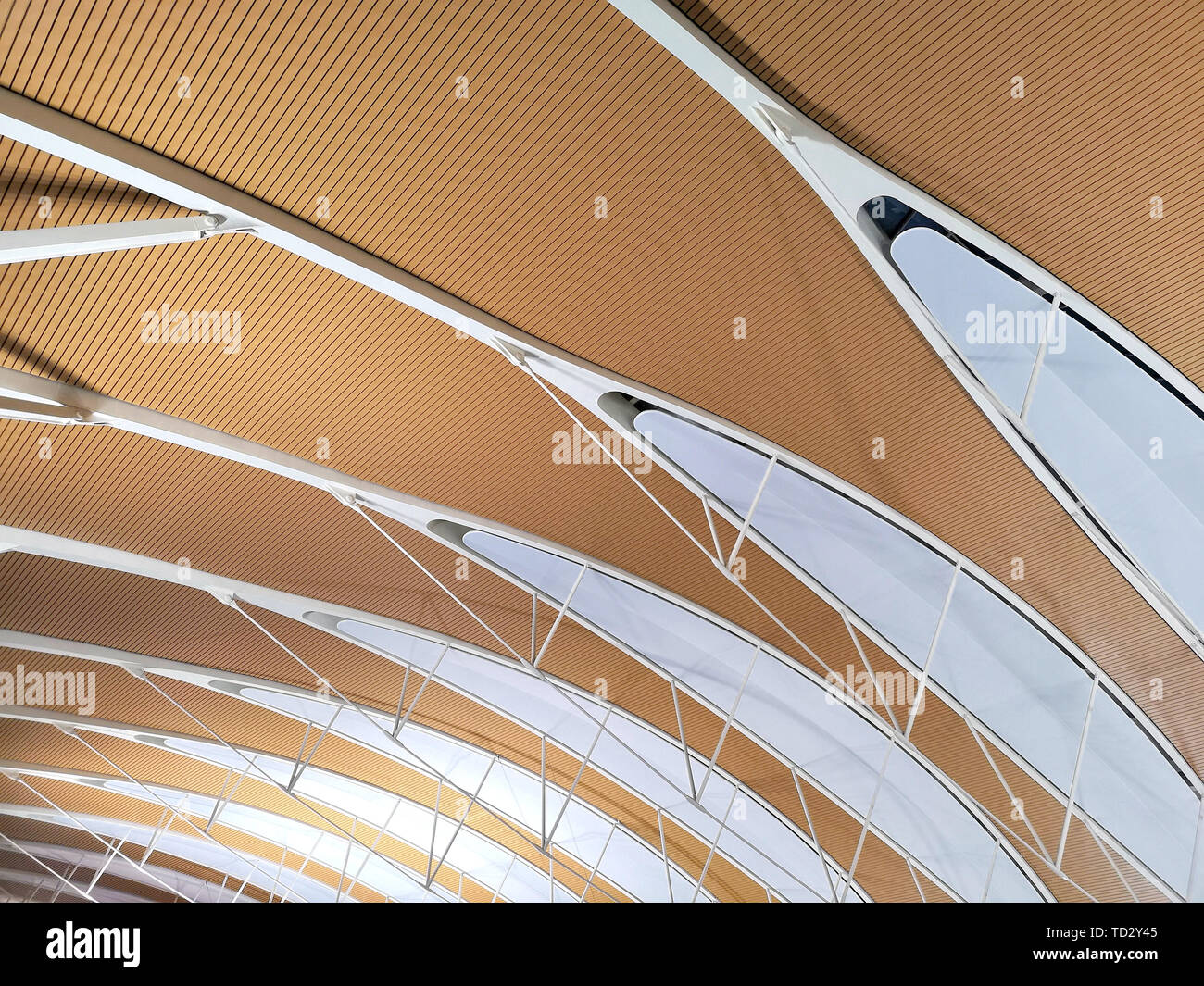 Flughafen gewölbtes Dach Stockfoto