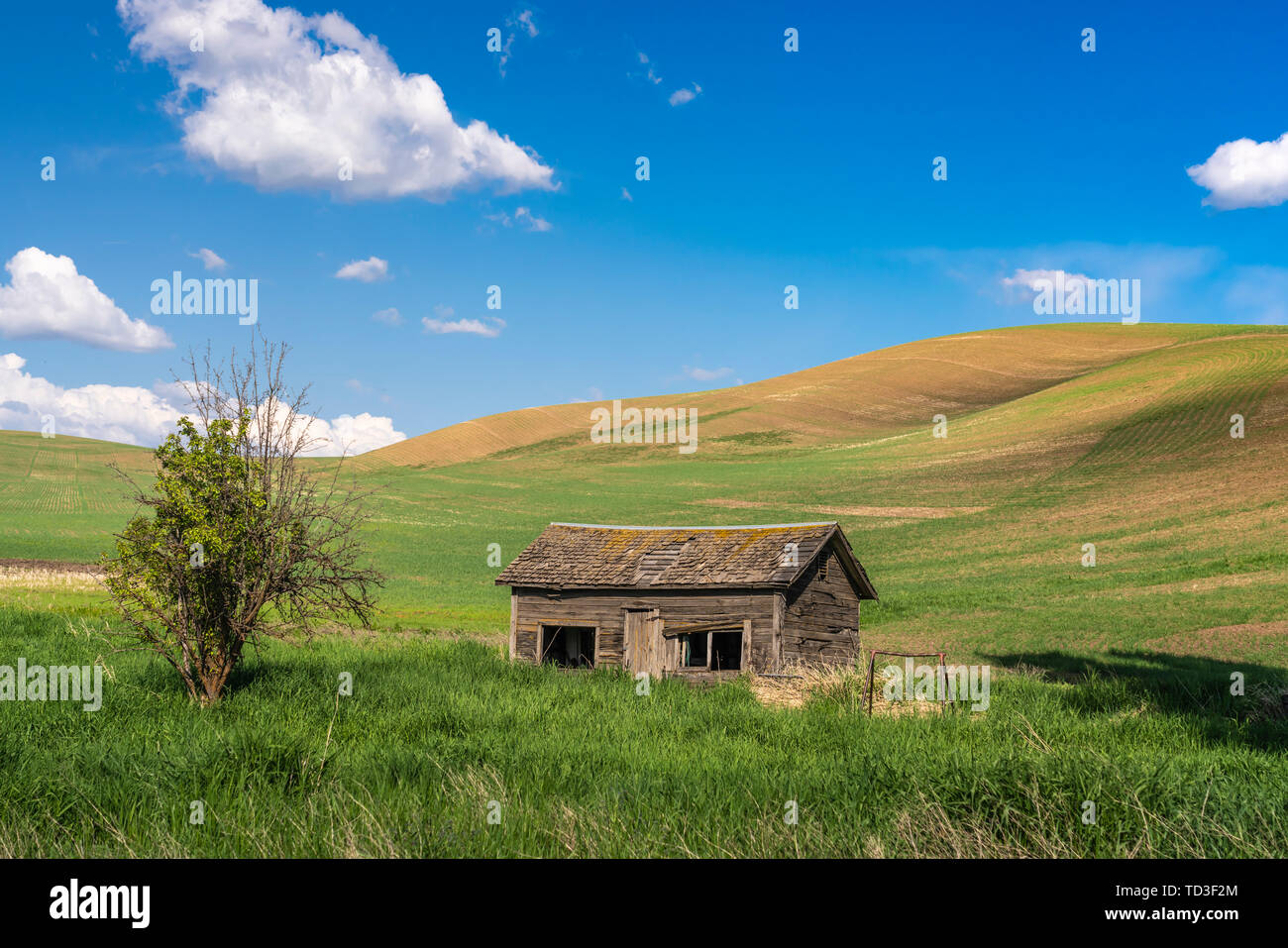 Ein alter Bauernhof in den sanften Hügeln des Palouse, Washington, USA. Stockfoto