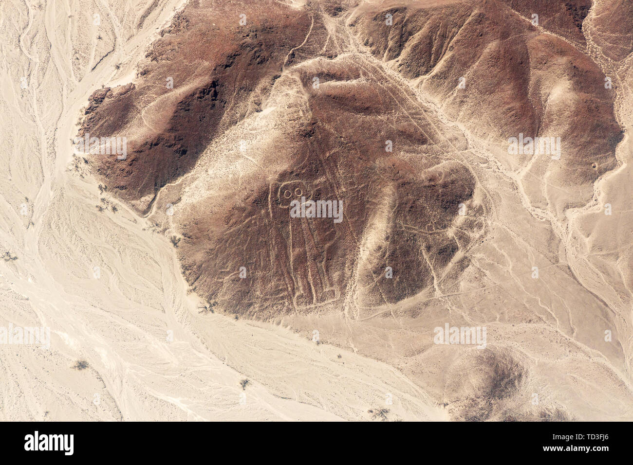 Flug über die Nazca-linien, Nazca, Peru, Südamerika Stockfoto