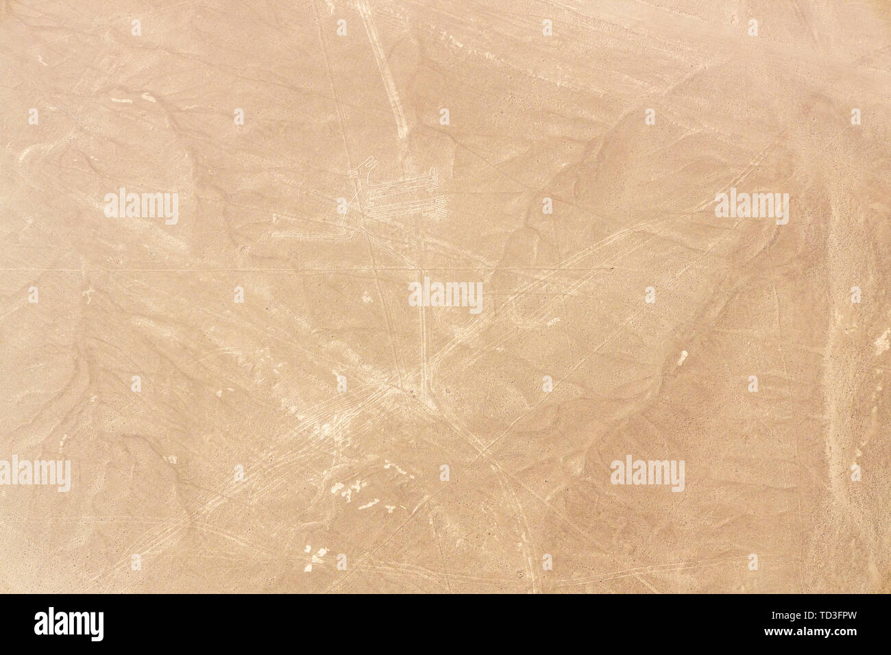 Flug über die Nazca-linien, Nazca, Peru, Südamerika Stockfoto