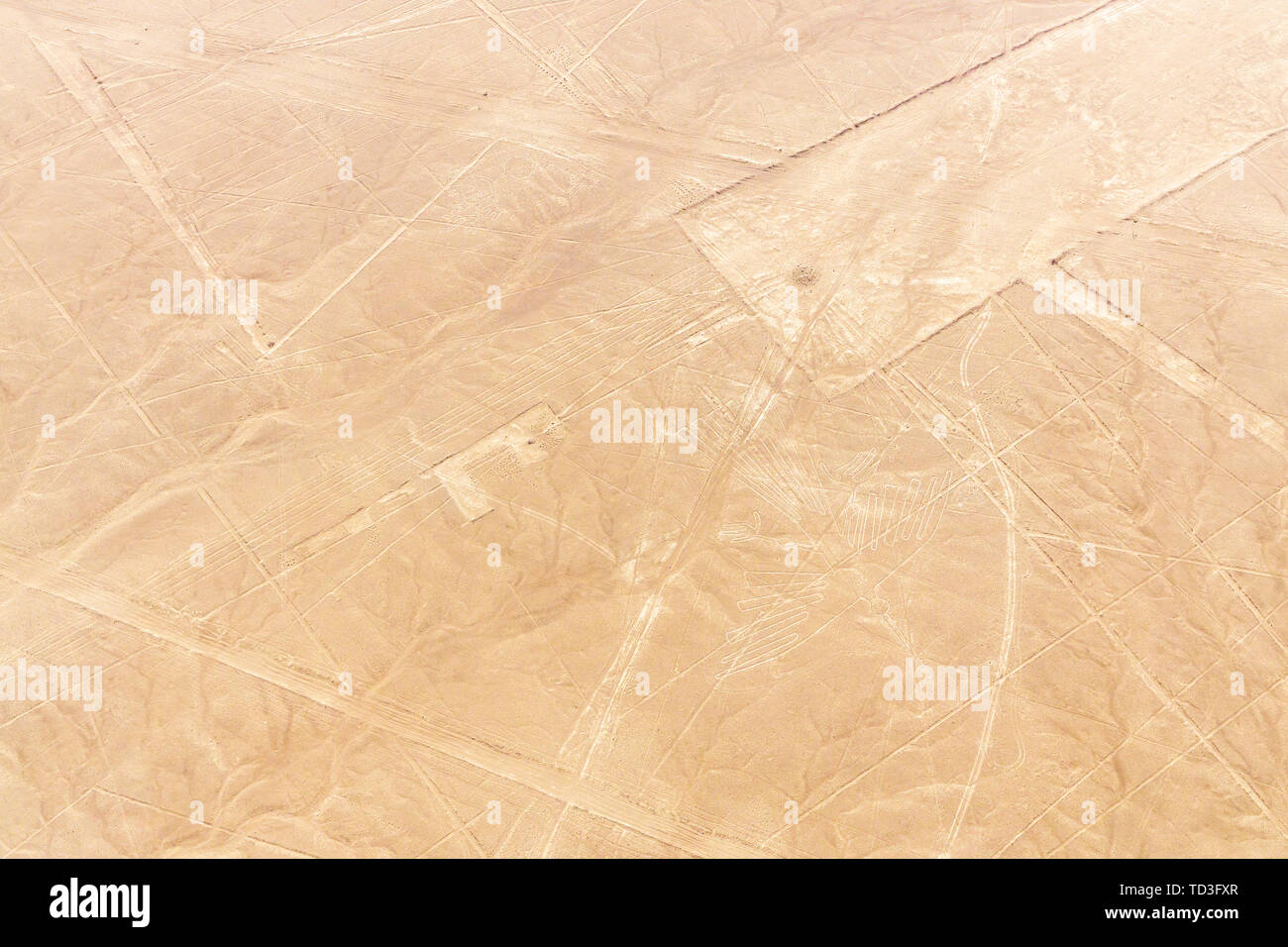 Flug über die Nazca-linien, Nazca, Peru, Südamerika Stockfoto