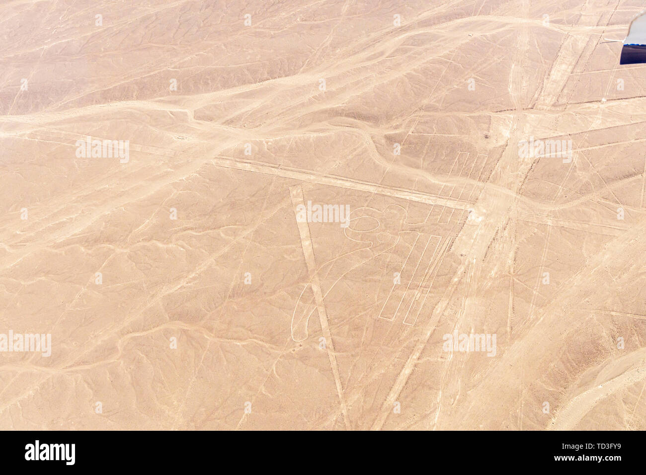 Flug über die Nazca-linien, Nazca, Peru, Südamerika Stockfoto