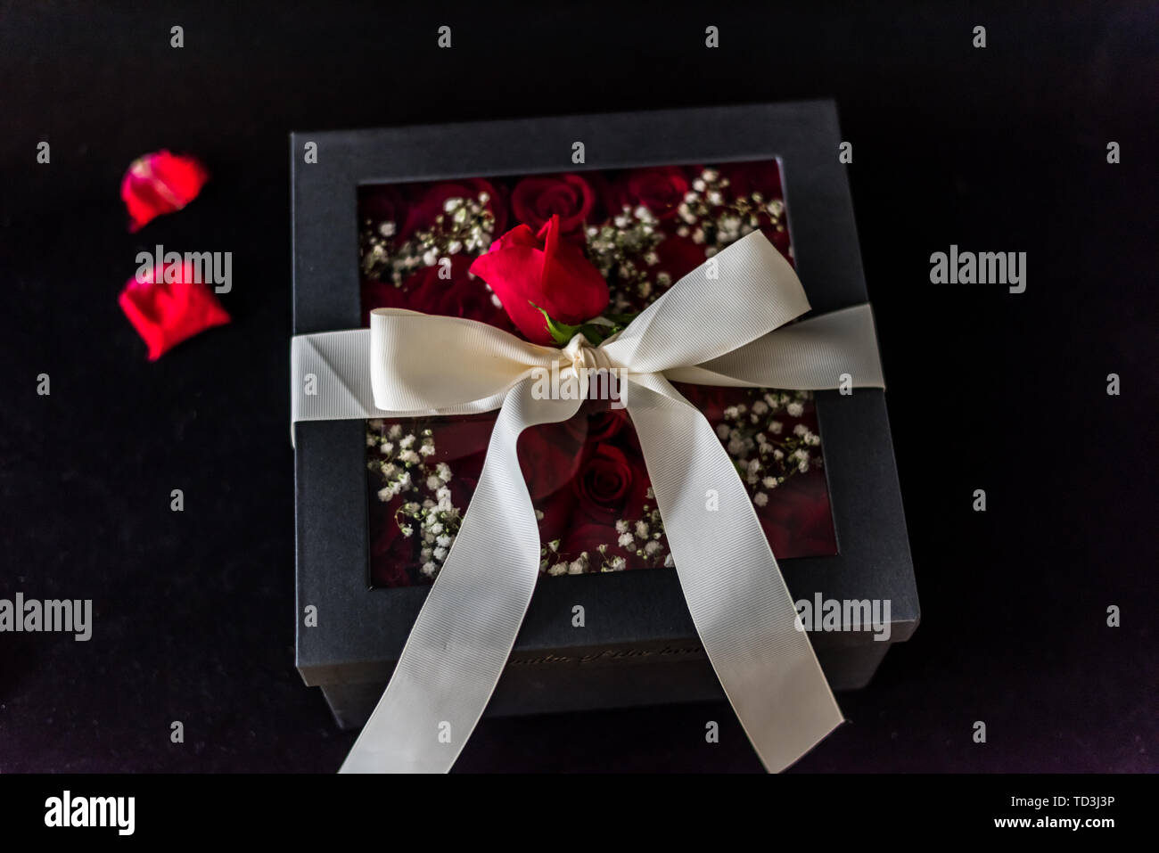 2019.05.17 im Studio, Aufnahmen für 520 Kreationen. Stockfoto