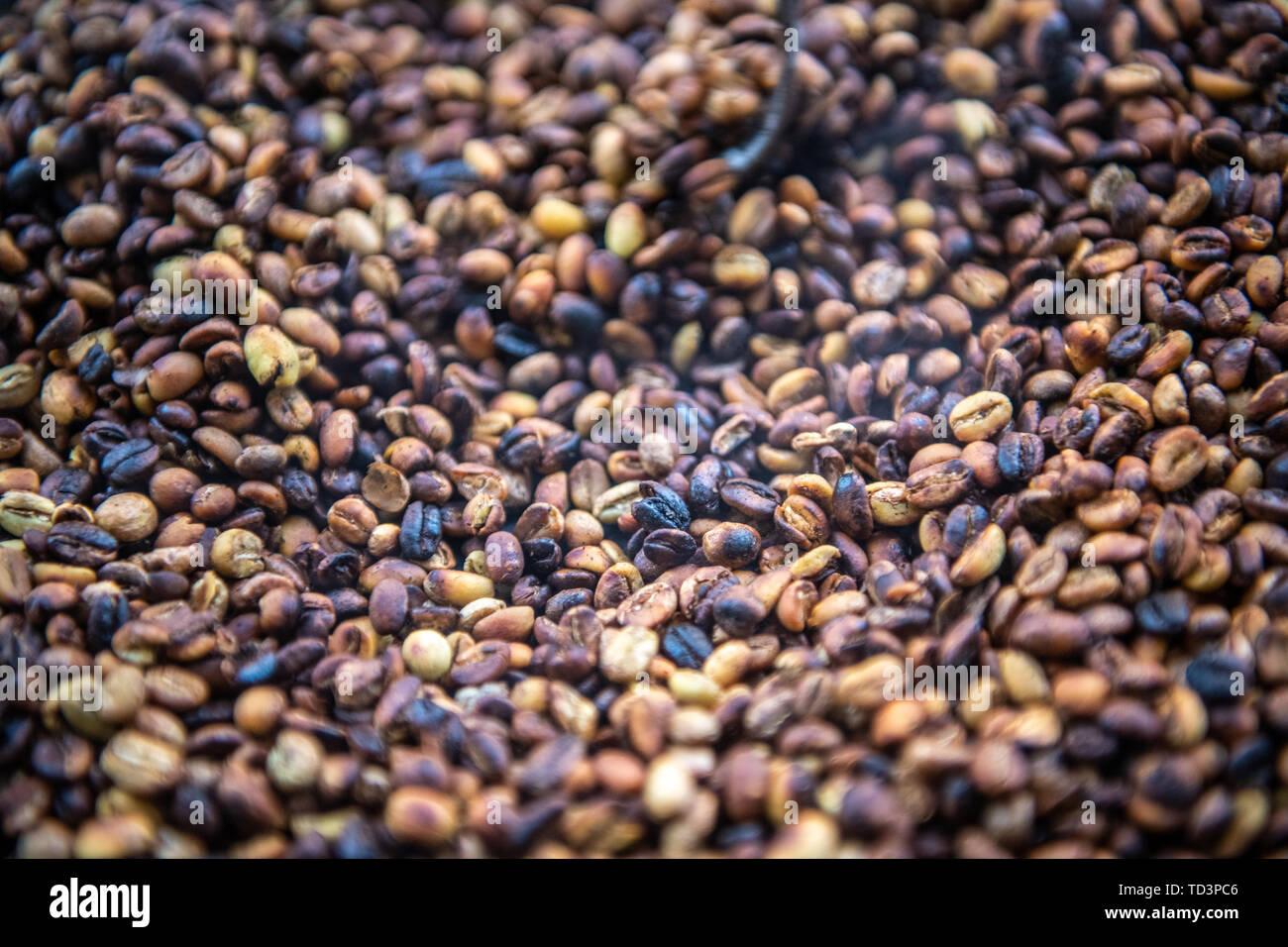 Kaffeebohnen rösten, Addis Abeba, Äthiopien Stockfoto